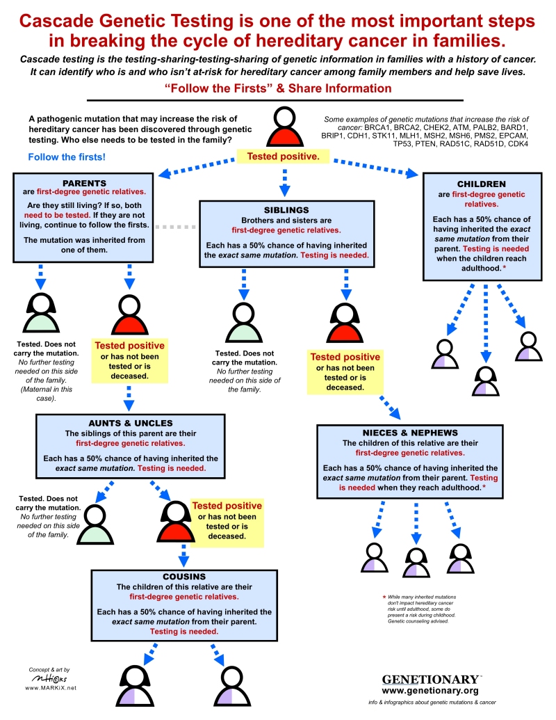 Cascade Testing Infographic thumbnail