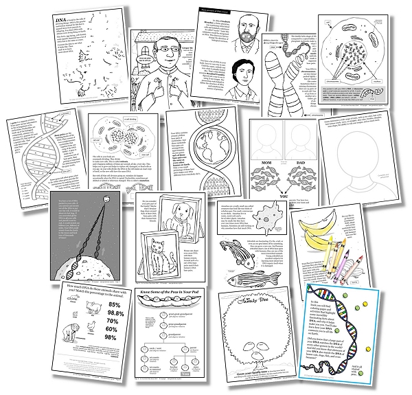 Do You Know Peas About DNA? interior pages