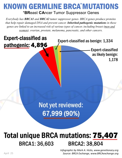 Total BRCA mutations inforgraphic